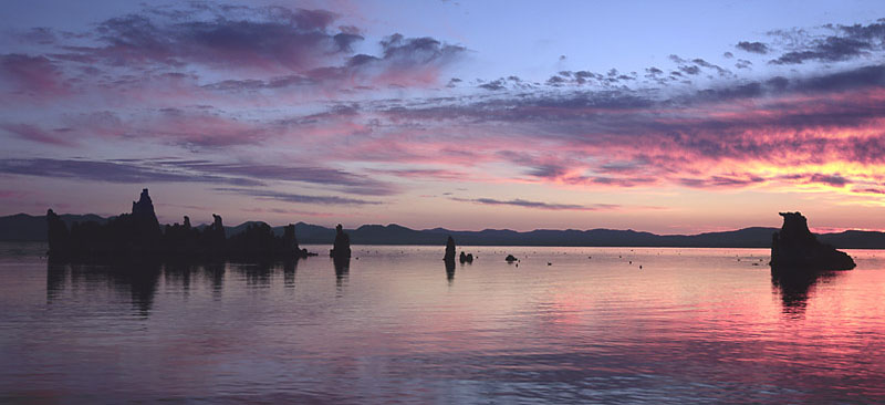 mono_dawn_s