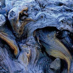 wood